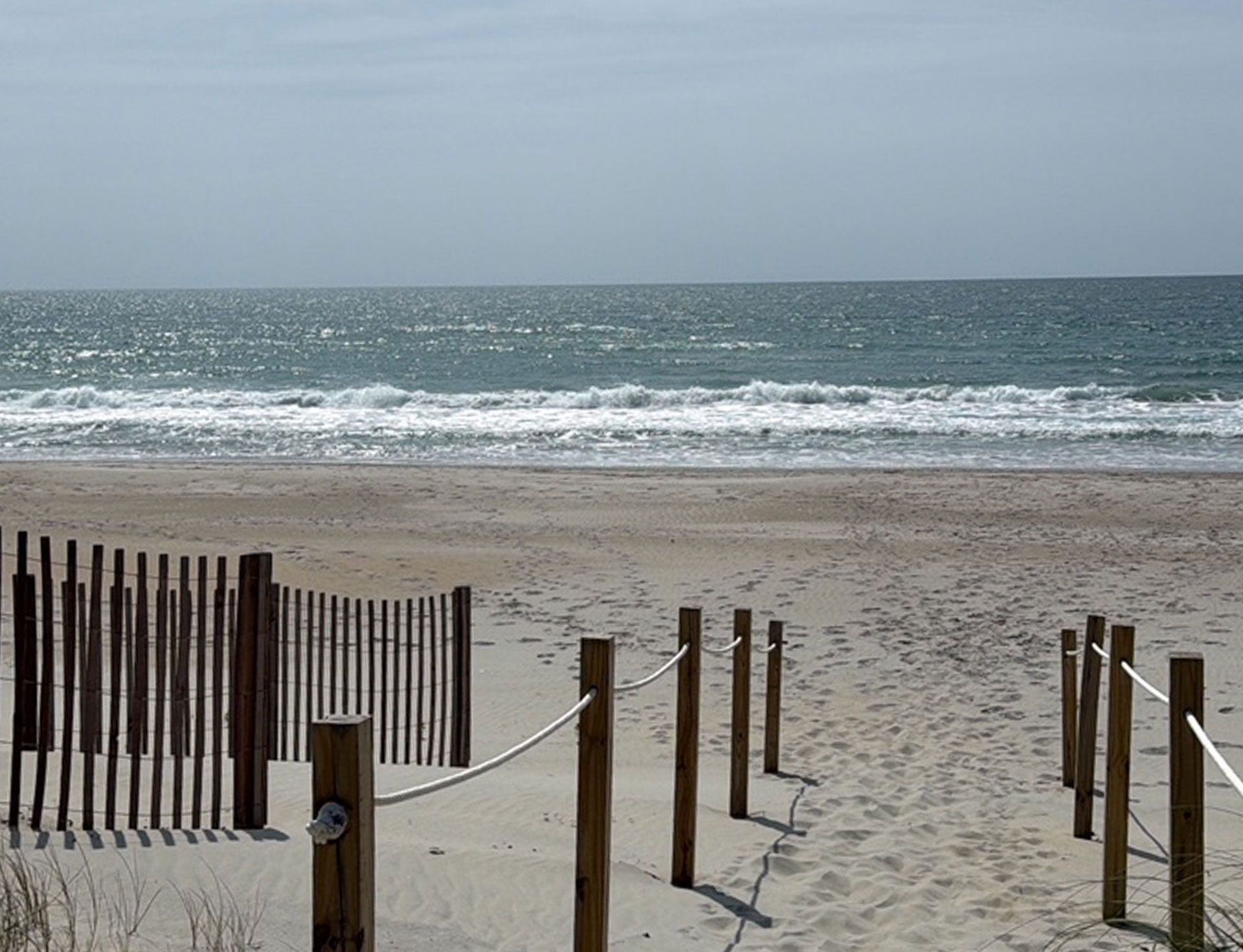 Casa Palmera Beach photo 9